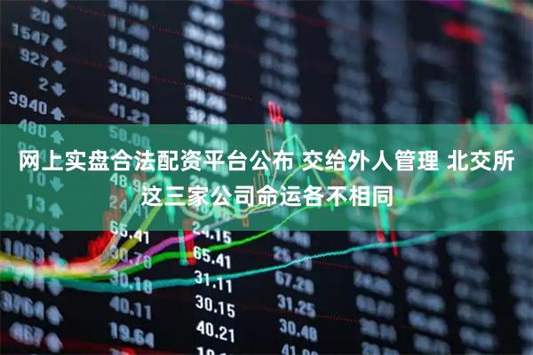 网上实盘合法配资平台公布 交给外人管理 北交所这三家公司命运各不相同